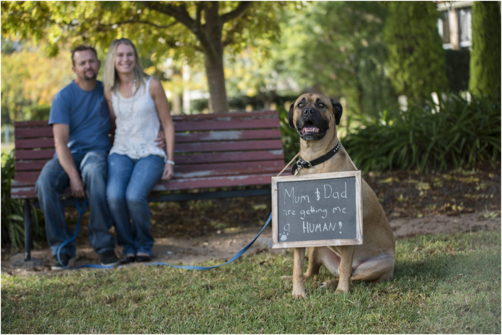 Baby Bump Photography, Camden maternity Photography, Camden Newborn Photography, Angie Duncan Photography, www.angieduncan.com.au